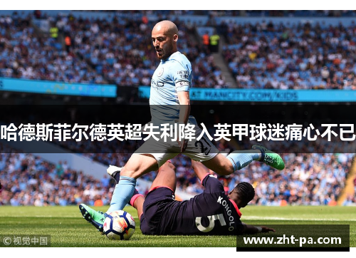 哈德斯菲尔德英超失利降入英甲球迷痛心不已